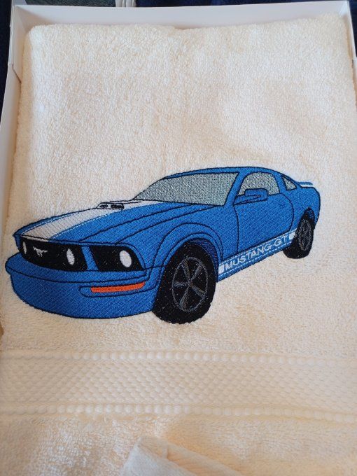 COFFRET  SERVIETTE + GANT BRODE  MUSTANG