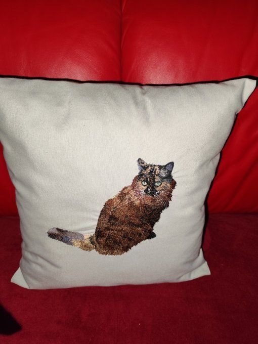COUSSIN BRODE 