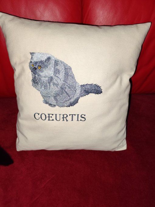 COUSSIN BRODE 